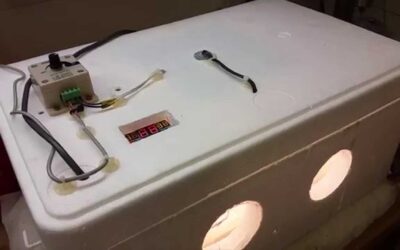 DIY Chicken Egg Incubator